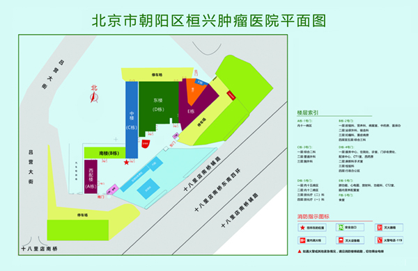 看抄逼网北京市朝阳区桓兴肿瘤医院平面图